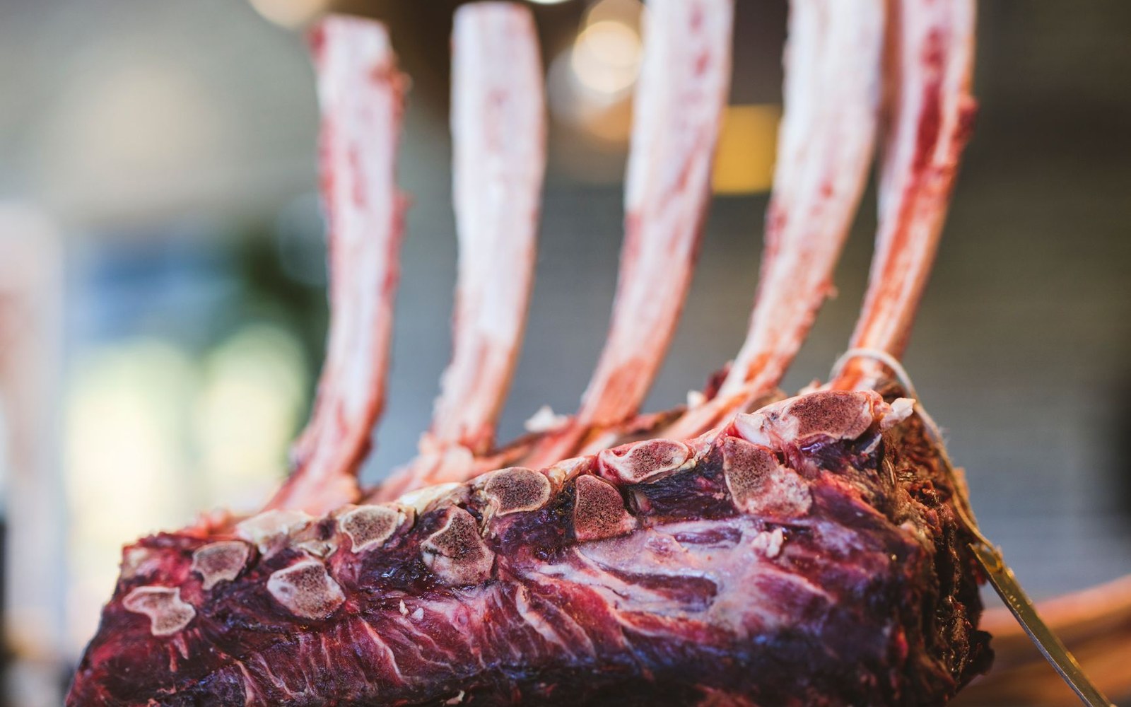 Close-up of a raw rack of ribs with exposed bones and trimmed fat cap